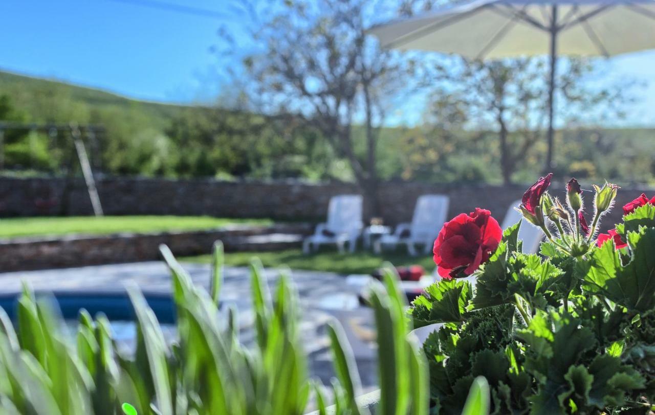 Dalmatia Stone House - Heated Pool Guest House Biorine Exterior foto